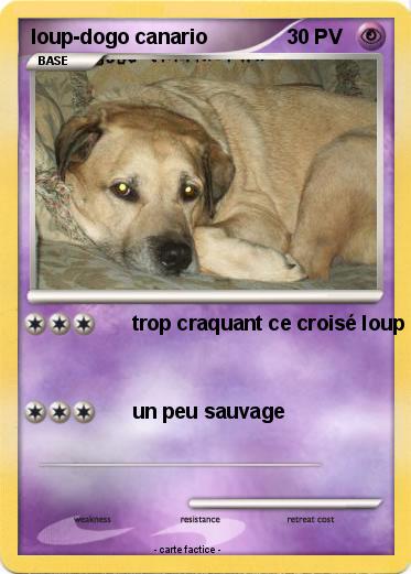 Pokemon loup-dogo canario