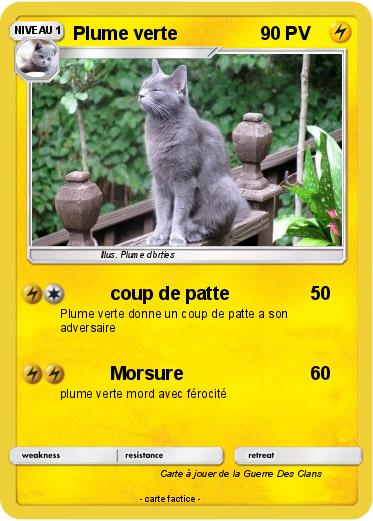 Pokemon Plume verte