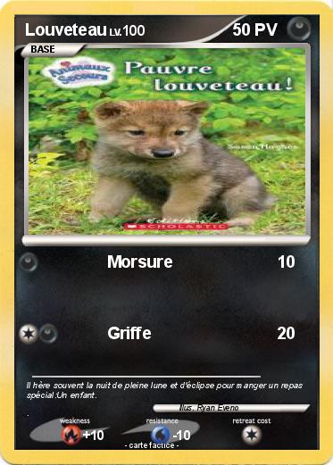 Pokemon Louveteau