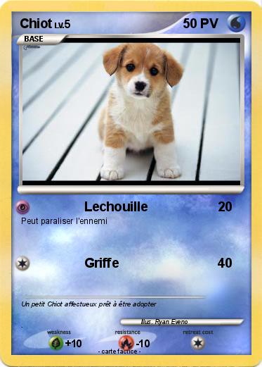 Pokemon Chiot