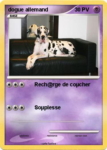 Pokemon dogue allemand