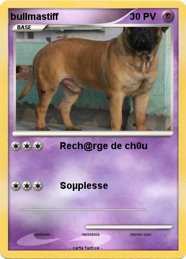 Pokemon bullmastiff