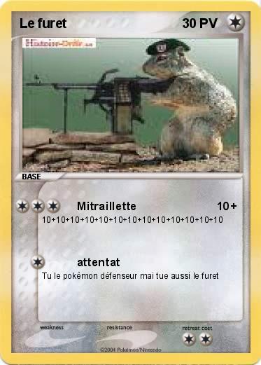 Pokemon Le furet