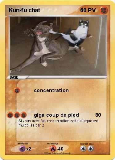 Pokemon Kun-fu chat