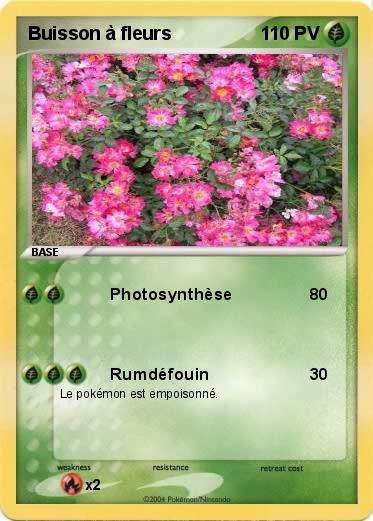 Pokemon Buisson à fleurs