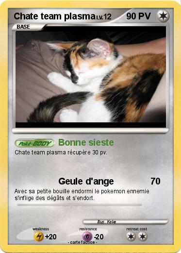 Pokemon Chate team plasma