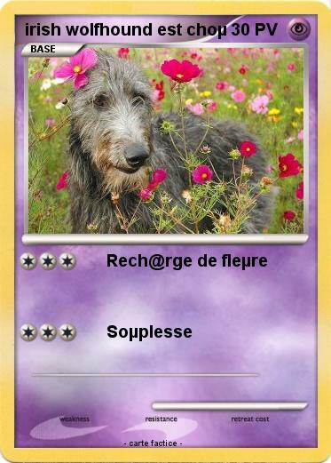 Pokemon irish wolfhound est choµ