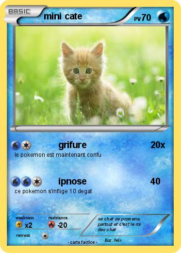 Pokemon mini cate
