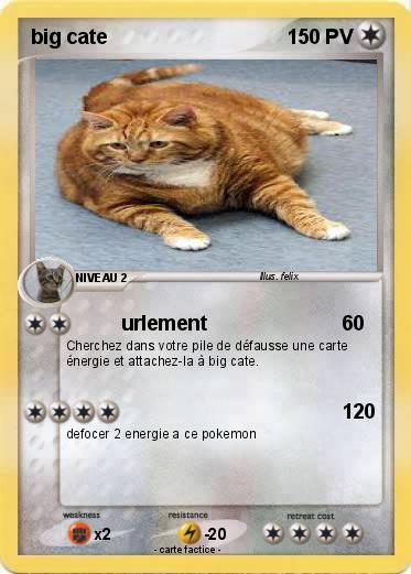 Pokemon big cate