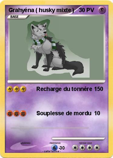 Pokemon Grahyéna ( husky mixte )