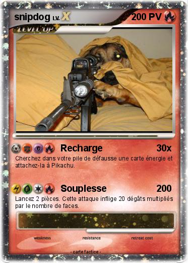 Pokemon snipdog