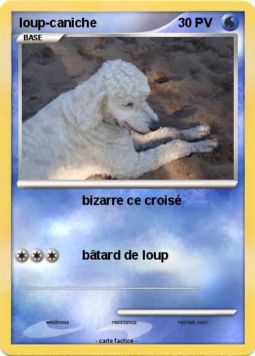 Pokemon loup-caniche