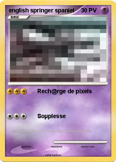 Pokemon english springer spaniel