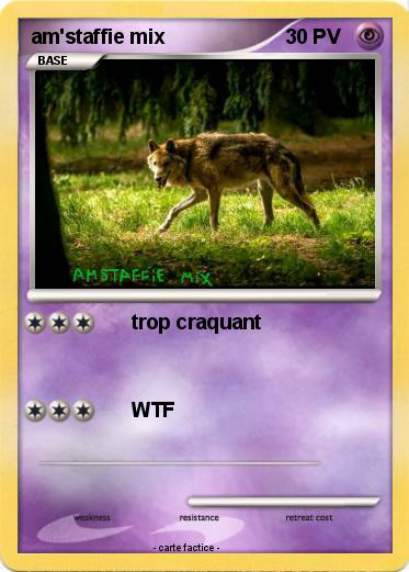 Pokemon am'staffie mix