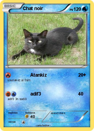 Pokemon Chat noir