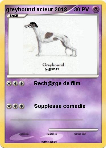 Pokemon greyhound acteur 2018