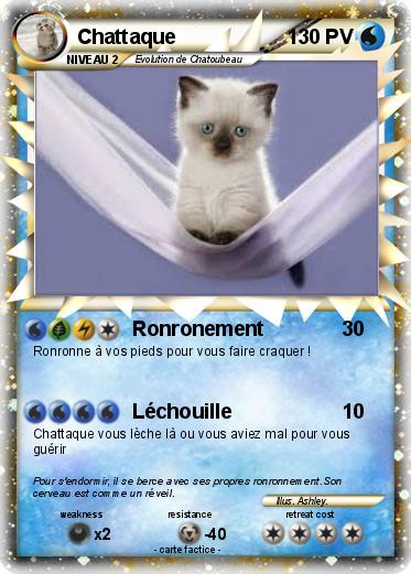 Pokemon Chattaque