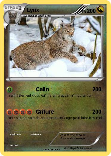 Pokemon Lynx