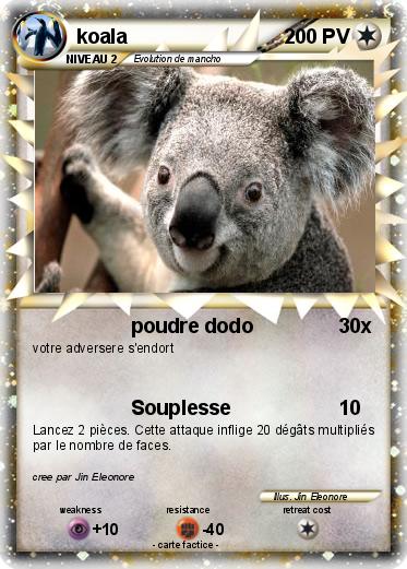 Pokemon koala