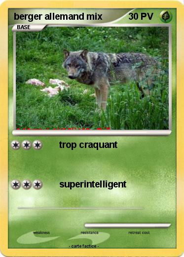 Pokemon berger allemand mix