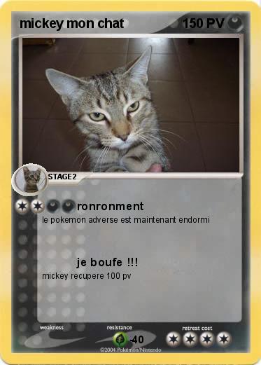Pokemon mickey mon chat 