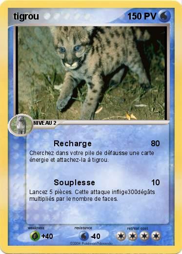 Pokemon tigrou