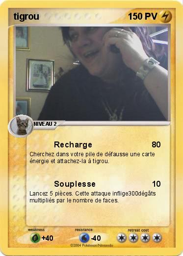 Pokemon tigrou