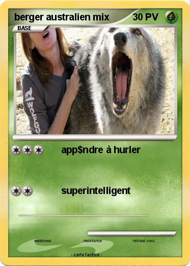 Pokemon berger australien mix