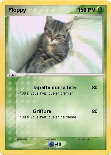 Pokemon Floppy