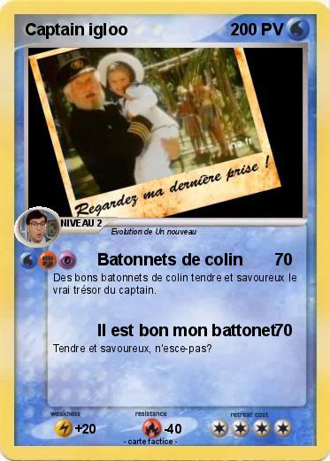 Pokemon Captain igloo