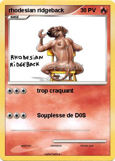 Pokemon rhodesian ridgeback