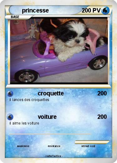 Pokemon princesse
