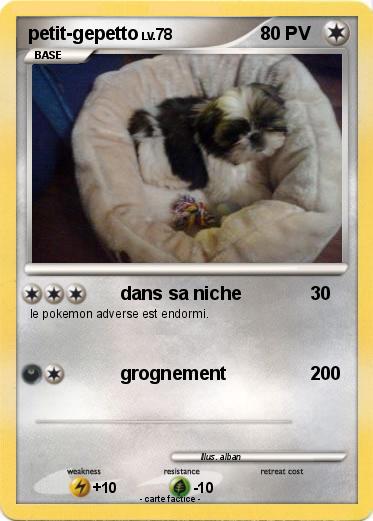 Pokemon petit-gepetto