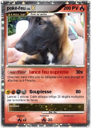 Pokemon poké-feu
