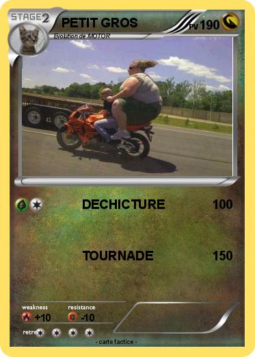 Pokemon PETIT GROS