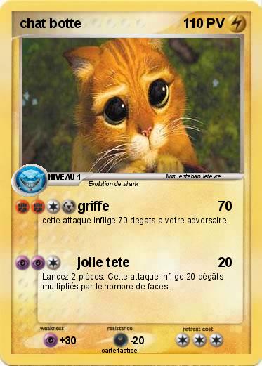Pokemon chat botte