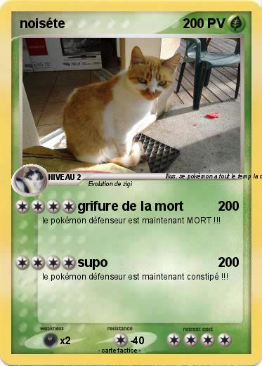 Pokemon noiséte