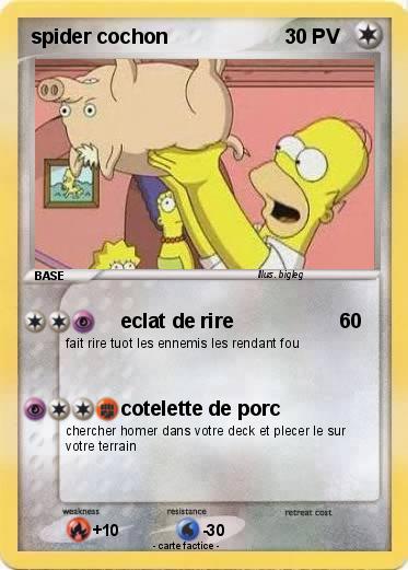 Pokemon spider cochon