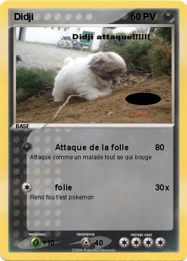 Pokemon Didji