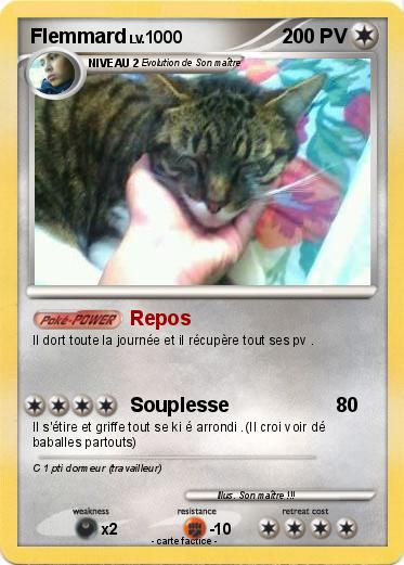 Pokemon Flemmard