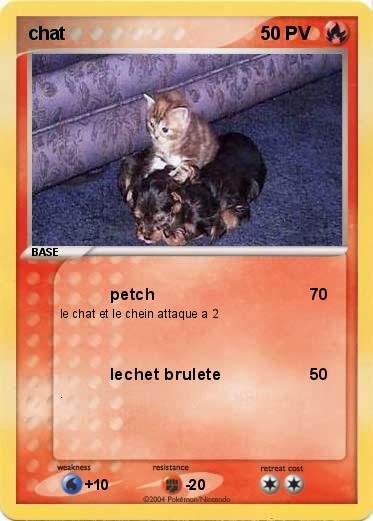 Pokemon chat