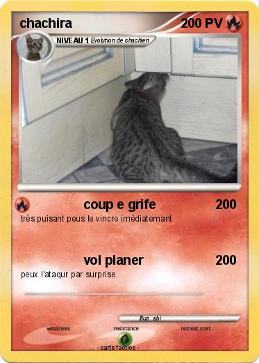 Pokemon chachira