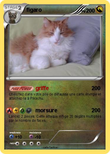 Pokemon figaro