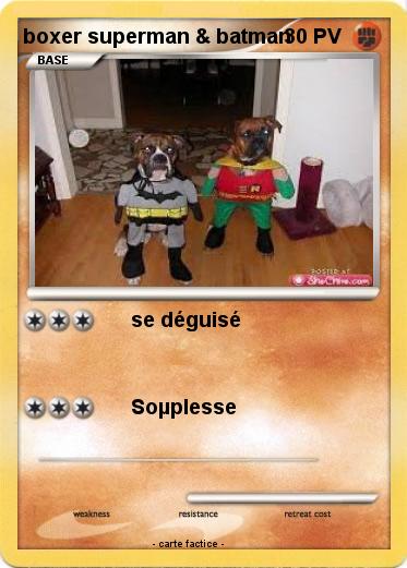Pokemon boxer superman & batman