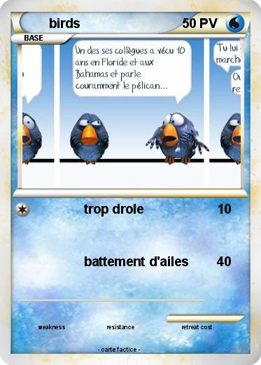 Pokemon birds