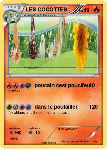 Pokemon LES COCOTTES