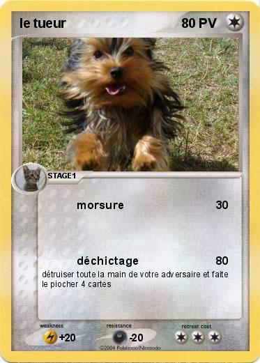 Pokemon le tueur