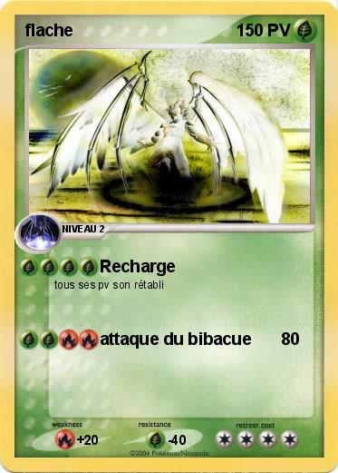 Pokemon flache