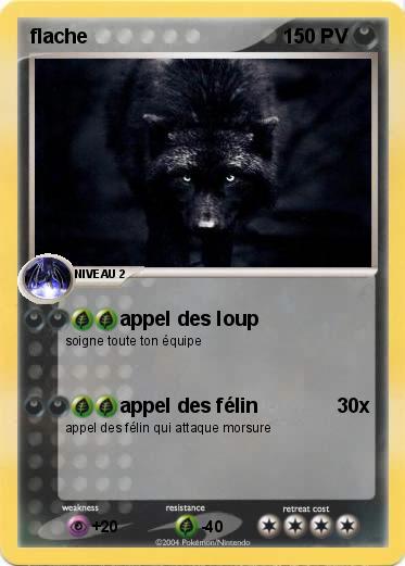 Pokemon flache