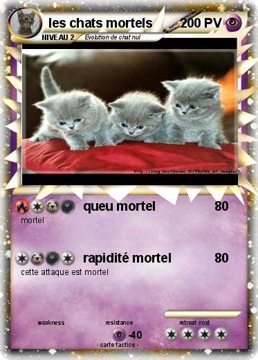 Pokemon les chats mortels